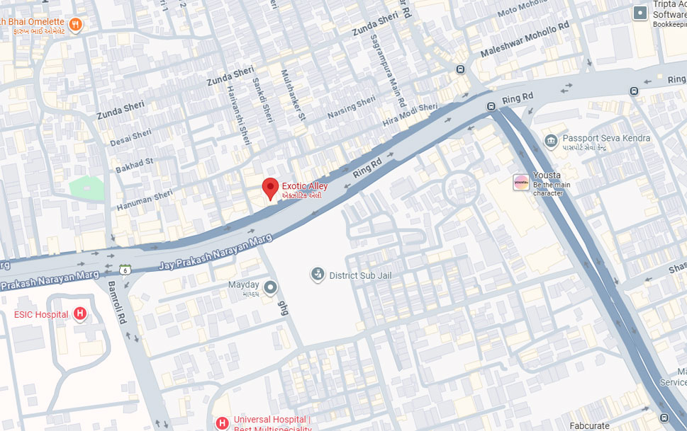 Our Location